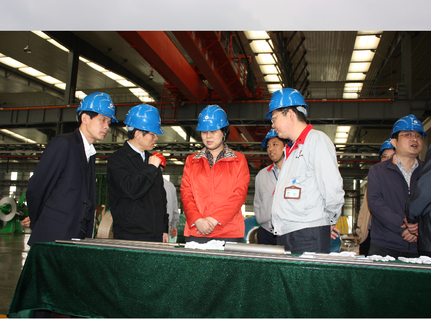 黃蘭香副省長(zhǎng)到湘投金天新材料有限公司調(diào)研